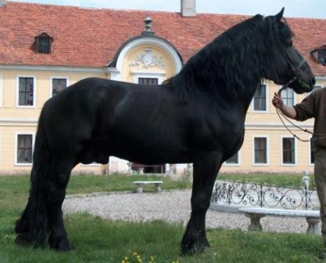 Palac Brody Exteriör bild